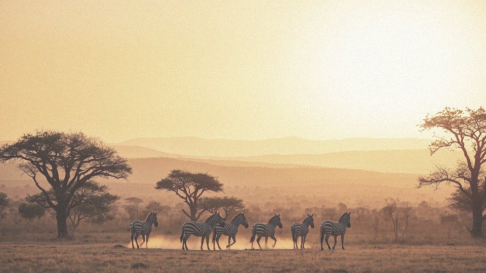 Co czyni Tanzanię idealnym kierunkiem na listopadowe wakacje?