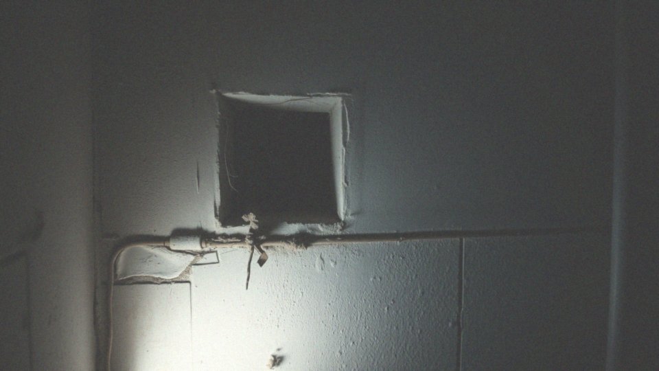 W jaki sposób pluskwy przemieszczają się między mieszkaniami?