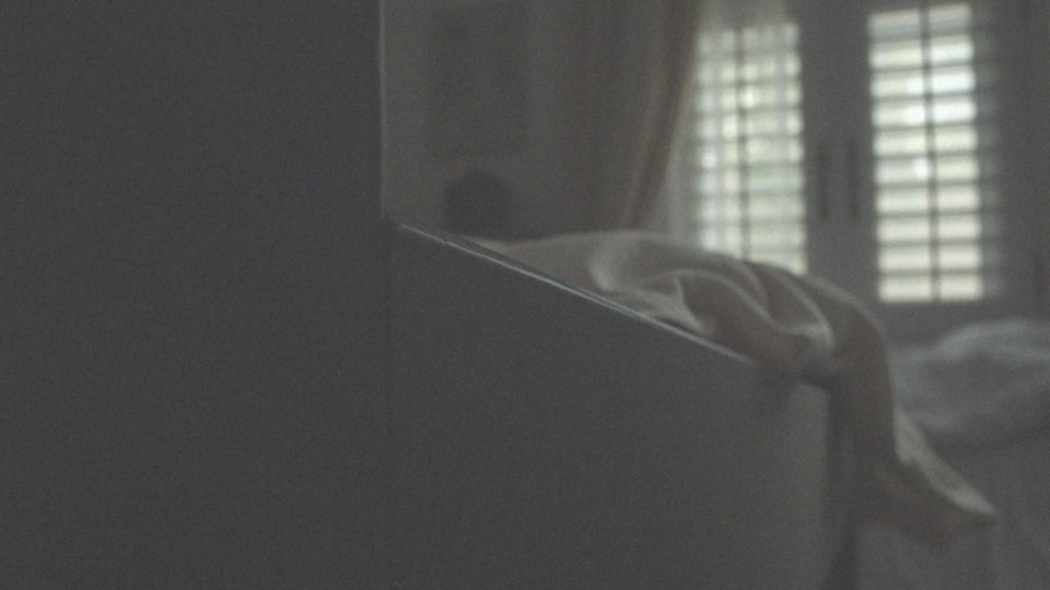 Jedna pluskwa w domu – co robić, aby uniknąć infestacji?