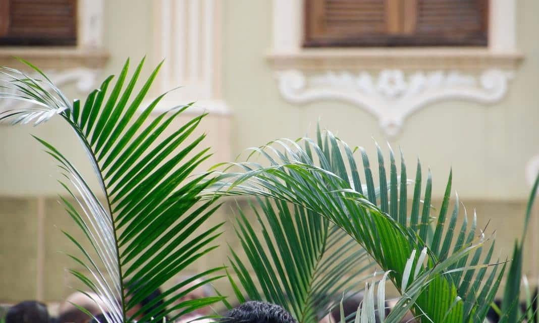 Niedziela Palmowa w Lublińcu – Tradycje i obchody tego wyjątkowego dnia