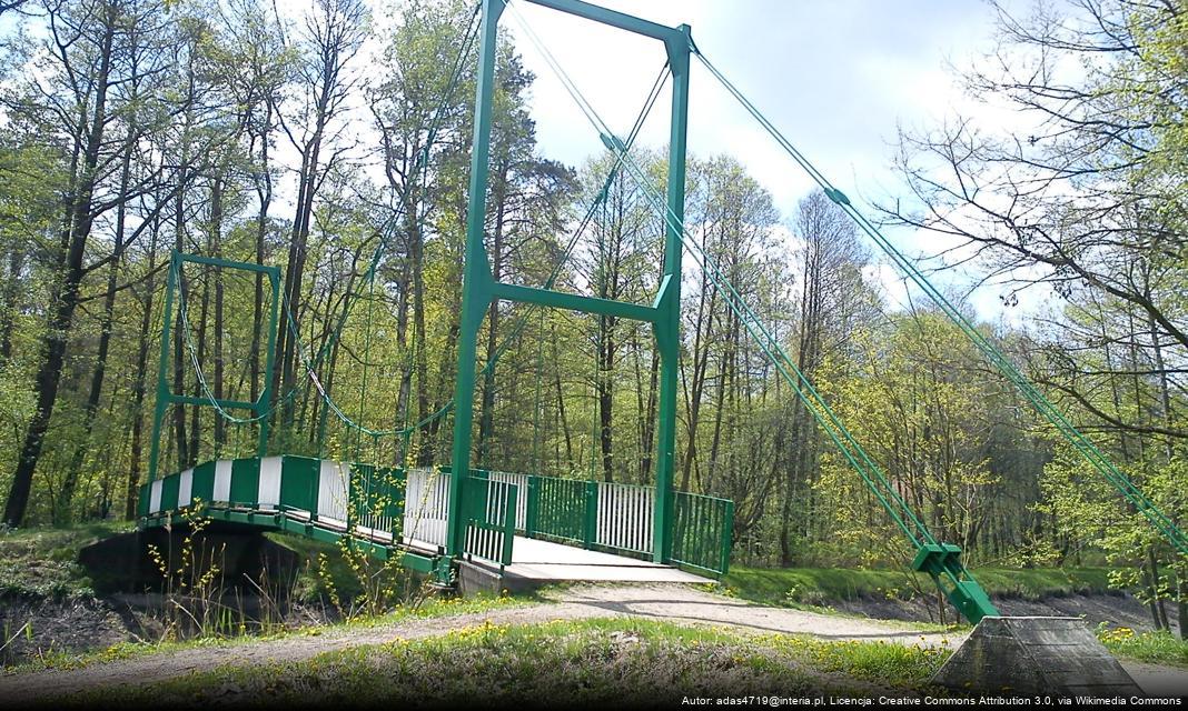 Lubliniecka Gala Przedsiębiorczości – Zaproszenie dla Przedsiębiorców